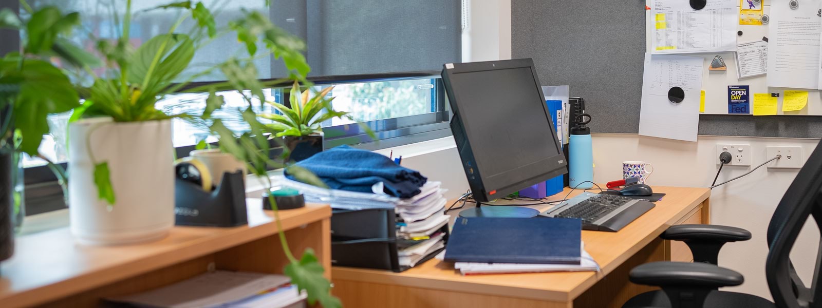 A busy desk and a plant on a shelf in an office.